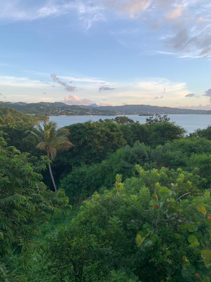 Kay Nou Apartments Gros Islet Bagian luar foto